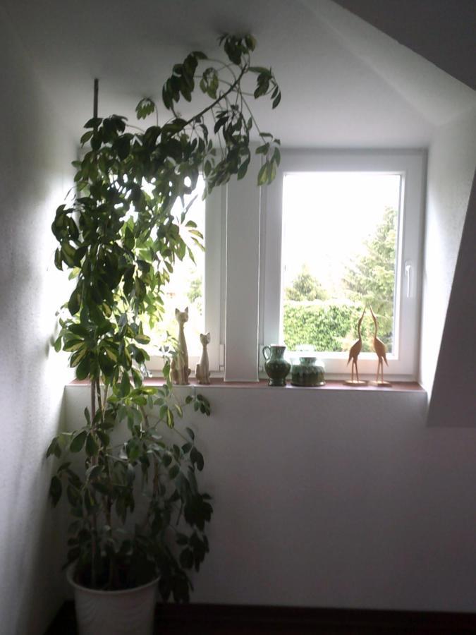 Pension-nussbaum